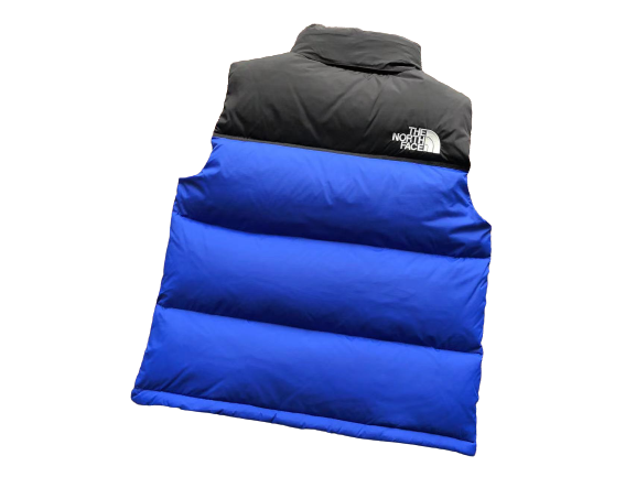 The North Face Blue Vest