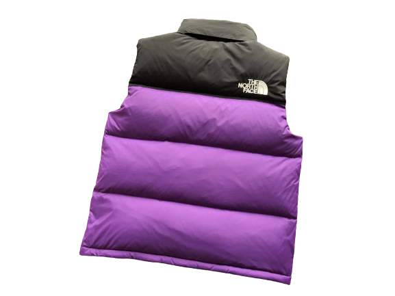 The North Face Purple Vest